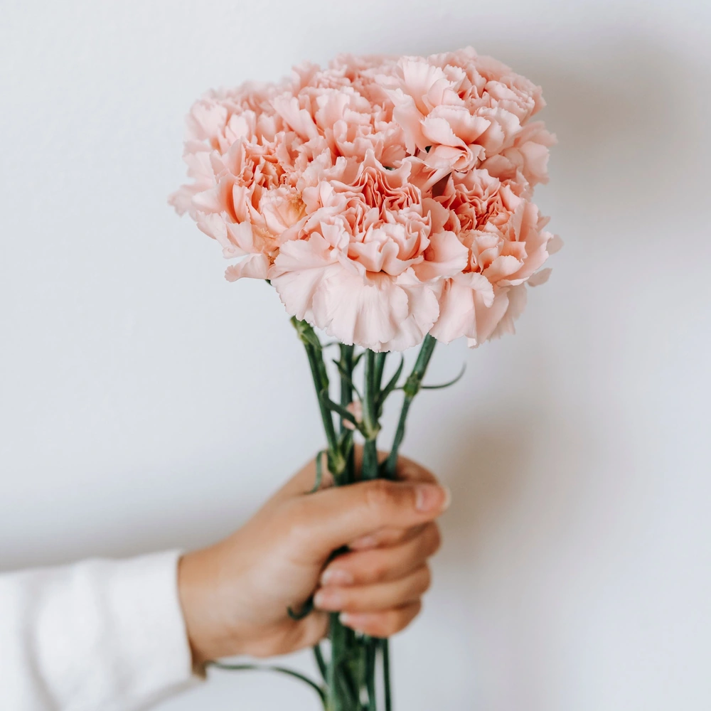 Pink Wishes - foto ilustrasi